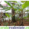 Residential land sale at Anthiyoorkonam Malayinkeezhu