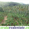 land for sale in karakulam trivandrum